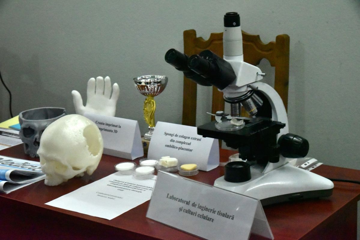 Festivalul cercetării și inovării